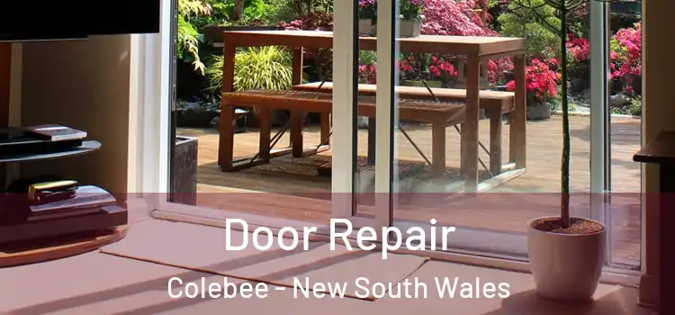 Door Repair Colebee - New South Wales