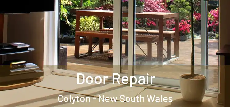 Door Repair Colyton - New South Wales