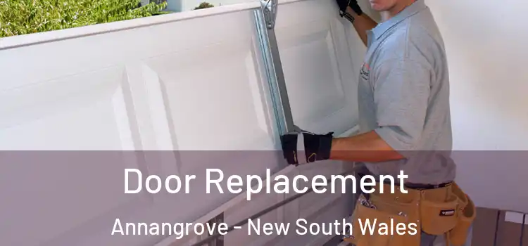 Door Replacement Annangrove - New South Wales