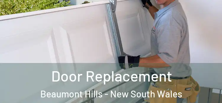 Door Replacement Beaumont Hills - New South Wales