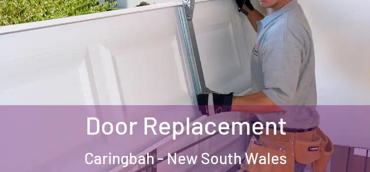 Door Replacement Caringbah - New South Wales