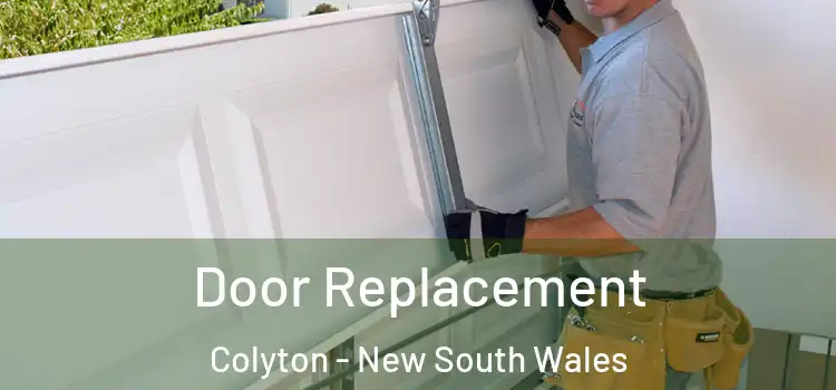 Door Replacement Colyton - New South Wales