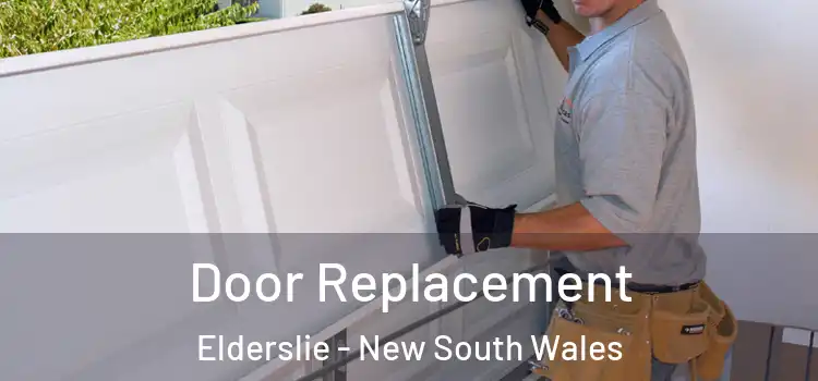 Door Replacement Elderslie - New South Wales