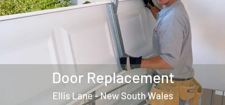 Door Replacement Ellis Lane - New South Wales