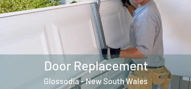 Door Replacement Glossodia - New South Wales