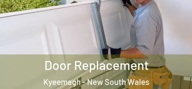 Door Replacement Kyeemagh - New South Wales