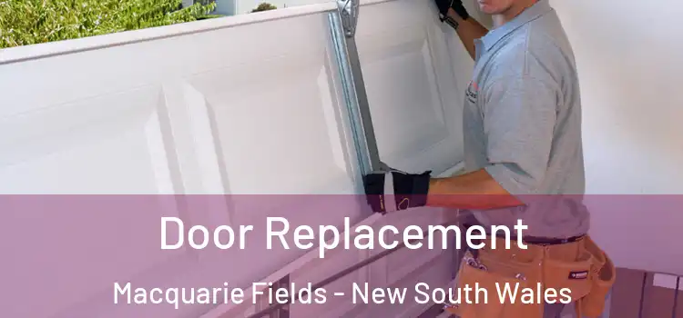 Door Replacement Macquarie Fields - New South Wales