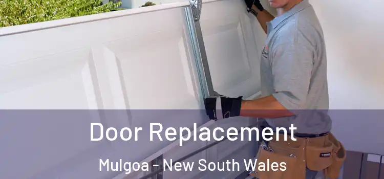 Door Replacement Mulgoa - New South Wales