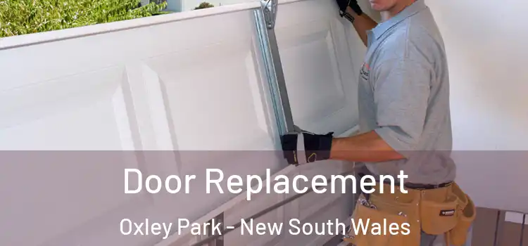 Door Replacement Oxley Park - New South Wales
