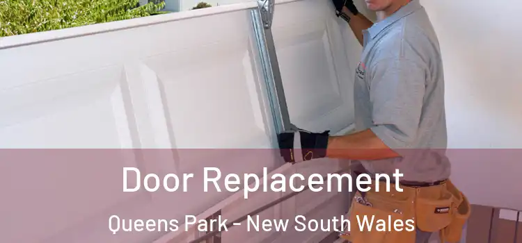 Door Replacement Queens Park - New South Wales