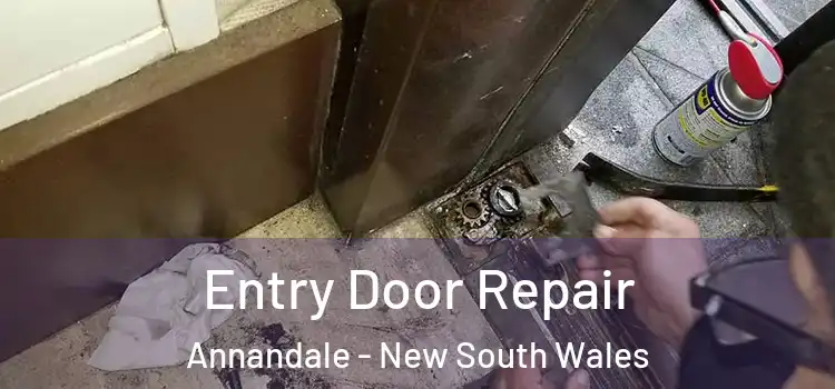 Entry Door Repair Annandale - New South Wales