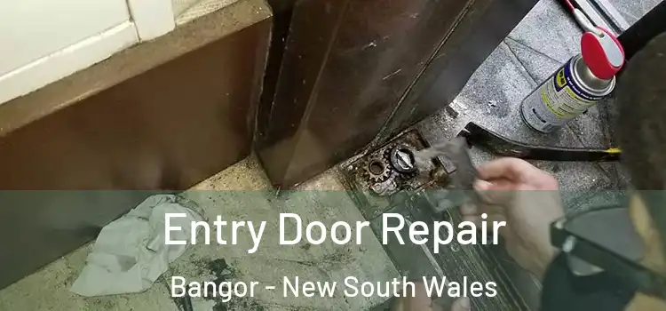 Entry Door Repair Bangor - New South Wales