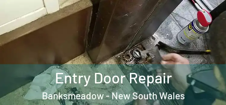 Entry Door Repair Banksmeadow - New South Wales