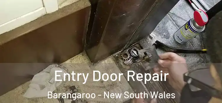 Entry Door Repair Barangaroo - New South Wales