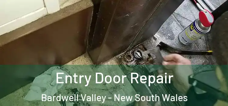 Entry Door Repair Bardwell Valley - New South Wales