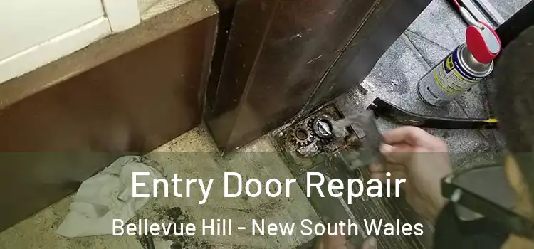 Entry Door Repair Bellevue Hill - New South Wales