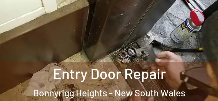 Entry Door Repair Bonnyrigg Heights - New South Wales