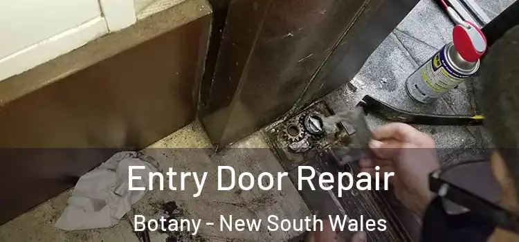 Entry Door Repair Botany - New South Wales