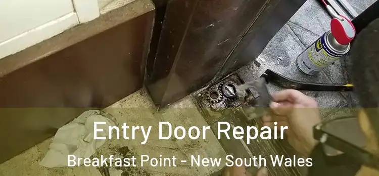 Entry Door Repair Breakfast Point - New South Wales