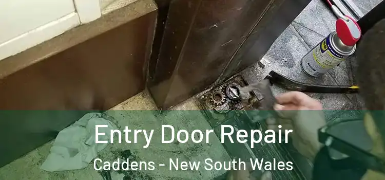 Entry Door Repair Caddens - New South Wales