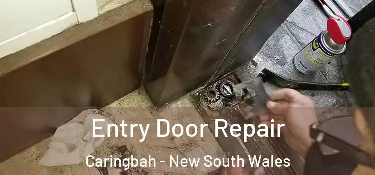 Entry Door Repair Caringbah - New South Wales