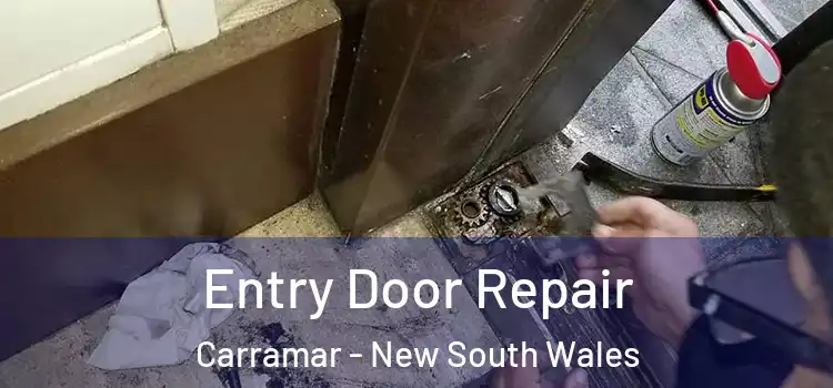 Entry Door Repair Carramar - New South Wales