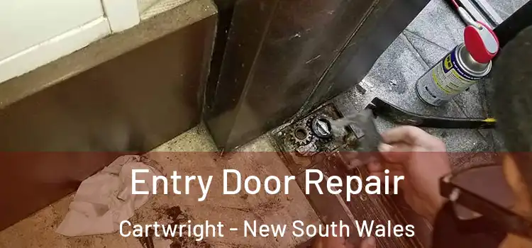 Entry Door Repair Cartwright - New South Wales