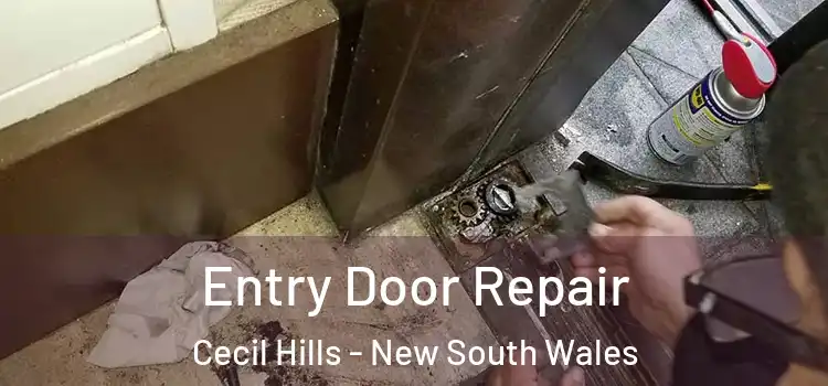 Entry Door Repair Cecil Hills - New South Wales
