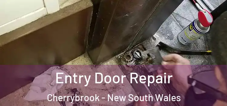 Entry Door Repair Cherrybrook - New South Wales