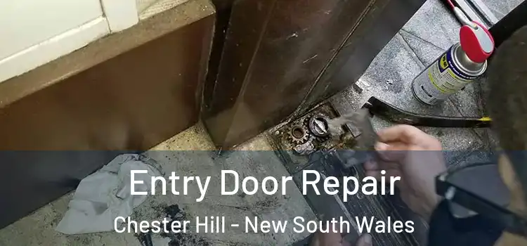 Entry Door Repair Chester Hill - New South Wales