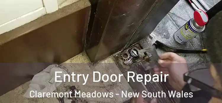 Entry Door Repair Claremont Meadows - New South Wales