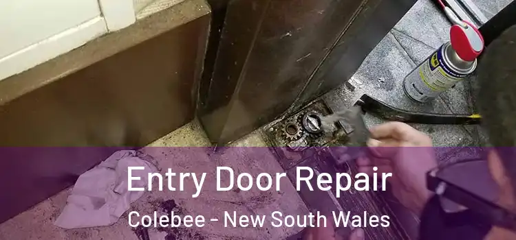 Entry Door Repair Colebee - New South Wales