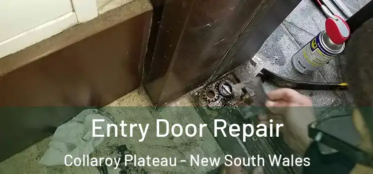 Entry Door Repair Collaroy Plateau - New South Wales