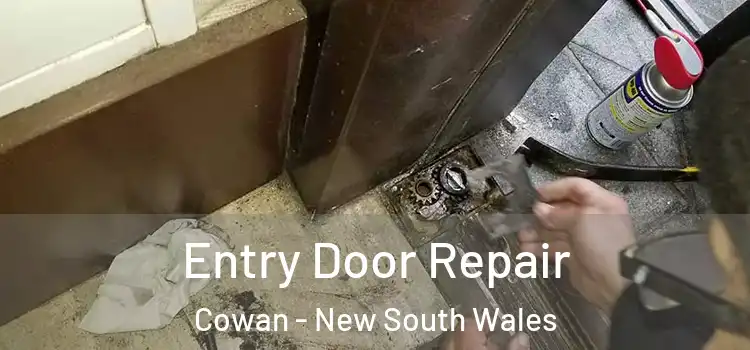 Entry Door Repair Cowan - New South Wales