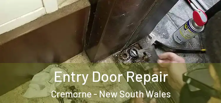 Entry Door Repair Cremorne - New South Wales