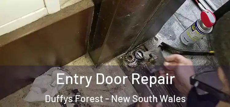 Entry Door Repair Duffys Forest - New South Wales