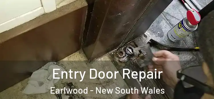 Entry Door Repair Earlwood - New South Wales