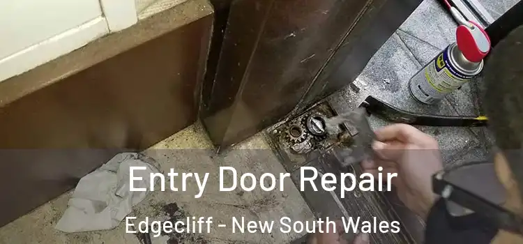 Entry Door Repair Edgecliff - New South Wales