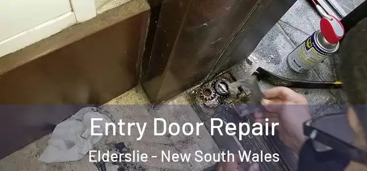 Entry Door Repair Elderslie - New South Wales