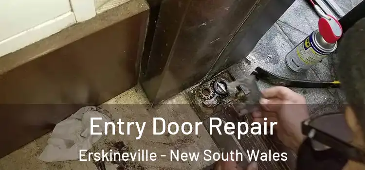 Entry Door Repair Erskineville - New South Wales