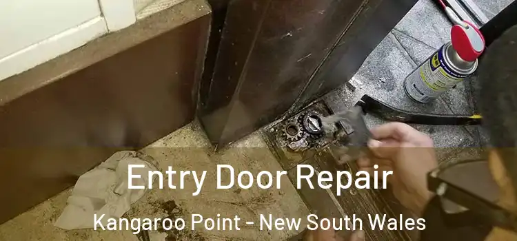 Entry Door Repair Kangaroo Point - New South Wales