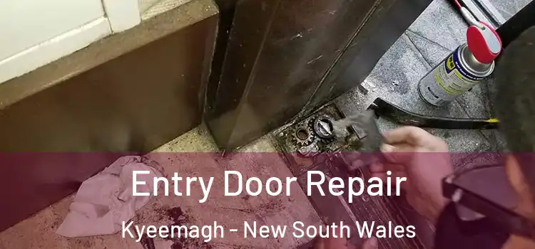 Entry Door Repair Kyeemagh - New South Wales