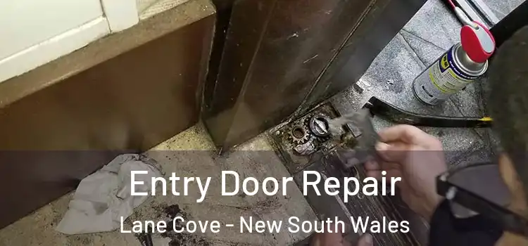 Entry Door Repair Lane Cove - New South Wales