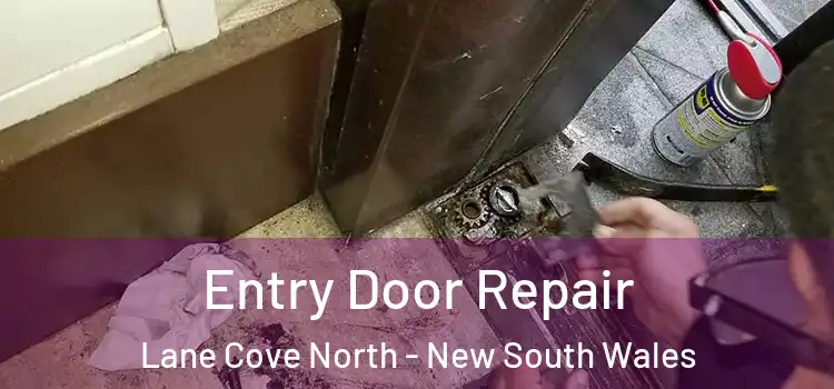 Entry Door Repair Lane Cove North - New South Wales