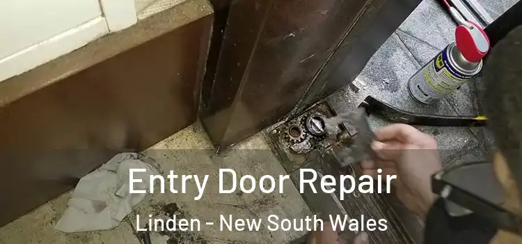 Entry Door Repair Linden - New South Wales