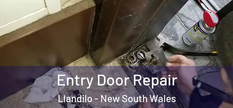 Entry Door Repair Llandilo - New South Wales
