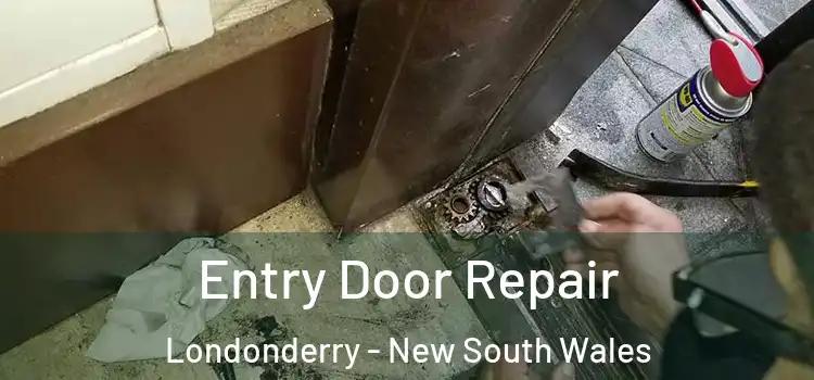 Entry Door Repair Londonderry - New South Wales