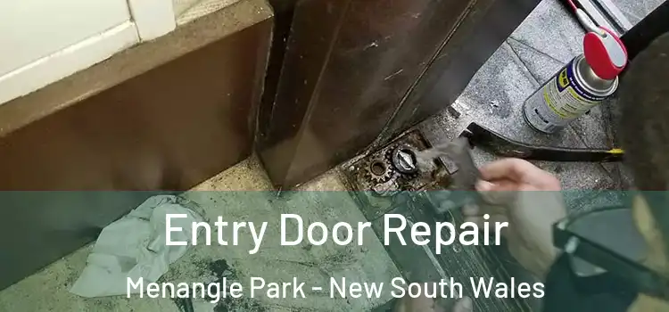 Entry Door Repair Menangle Park - New South Wales