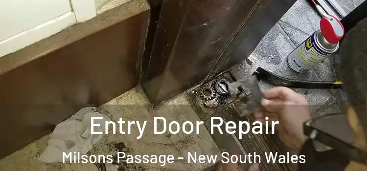 Entry Door Repair Milsons Passage - New South Wales