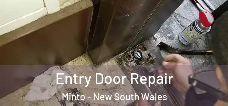 Entry Door Repair Minto - New South Wales